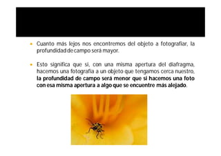    Cuanto más lejos nos encontremos del objeto a fotografiar, la
    profundidad de campo será mayor.

   Esto significa que si, con una misma apertura del diafragma,
    hacemos una fotografía a un objeto que tengamos cerca nuestro,
    la profundidad de campo será menor que si hacemos una foto
    con esa misma apertura a algo que se encuentre más alejado.
 