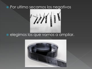  Por ultimo secamos los negativos
 elegimos los que vamos a ampliar.
 