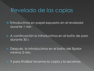  Introducimos en papel expuesto en el revelador
durante 1 min
 A continuación lo introducimos en el baño de paro
durante 30 s
 Después lo introducimos en el baño del fijador
mínimo 3 min.
 Y para finalizar lavamos la copia y la secamos.
 