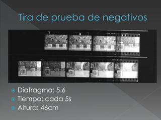  Diafragma: 5.6
 Tiempo: cada 5s
 Altura: 46cm
 