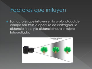  Los factores que influyen en la profundidad de
campo son tres: la apertura de diafragma, la
distancia focal y la distancia hasta el sujeto
fotografiado.
 