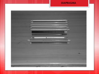 DIAFRAGMA
 