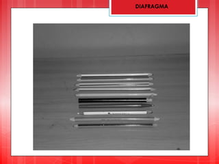 DIAFRAGMA
 