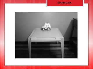 DIAFRAGMA
 