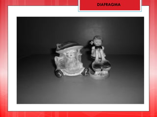 DIAFRAGMA
 