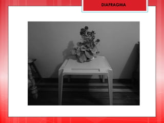 DIAFRAGMA
 