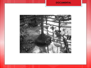 DOCUMENTAL
 
