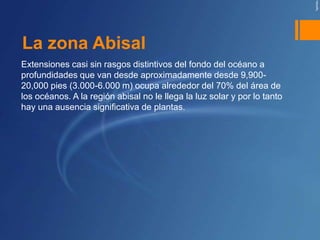 La zona Abisal
Extensiones casi sin rasgos distintivos del fondo del océano a
profundidades que van desde aproximadamente desde 9,900-
20,000 pies (3.000-6.000 m) ocupa alrededor del 70% del área de
los océanos. A la región abisal no le llega la luz solar y por lo tanto
hay una ausencia significativa de plantas.
 