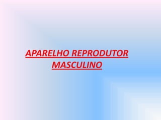 APARELHO REPRODUTOR
MASCULINO
 