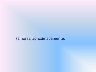 72 horas, aproximadamente.
 