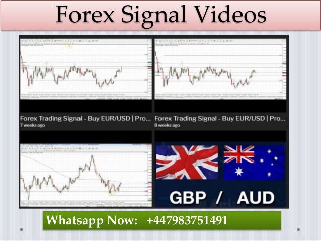Choose Best Forex Trading Service Provider In Uk - 