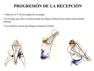 PROGRESIÓN DE LA RECEPCIÓN   Suele ser el 1º de los toques de un equipo. Es el toque que sólo se realiza cuando nos llega el balón de una forma relativamente cómoda Los hombros son los que dirigen realmente el balón. 