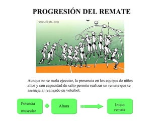 PROGRESIÓN DEL REMATE Aunque no se suela ejecutar, la presencia en los equipos de niños altos y con capacidad de salto permite realizar un remate que se asemeja al realizado en voleibol. Potencia  muscular Altura Inicio remate 