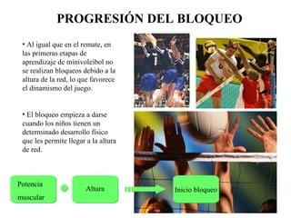 PROGRESIÓN DEL BLOQUEO Al igual que en el remate, en las primeras etapas de aprendizaje de minivoleibol no se realizan bloqueos debido a la altura de la red, lo que favorece el dinamismo del juego. El bloqueo empieza a darse cuando los niños tienen un determinado desarrollo físico que les permite llegar a la altura de red. Potencia  muscular Altura Inicio bloqueo 