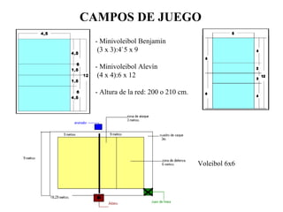 CAMPOS DE JUEGO   - Minivoleibol Benjamín (3 x 3):4`5 x 9  - Minivoleibol Alevín (4 x 4):6 x 12 - Altura de la red: 200 o 210 cm. Voleibol 6x6 