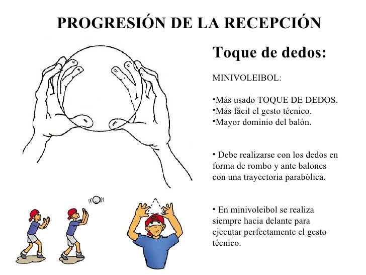 Progresión del minivoley al voleibol