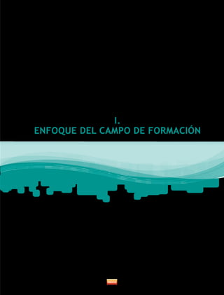 I.
ENFOQUE DEL CAMPO DE FORMACIÓN
 