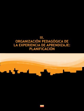 III.
ORGANIZACIÓN PEDAGÓGICA DE
LA EXPERIENCIA DE APRENDIZAJE:
PLANIFICACIÓN
 