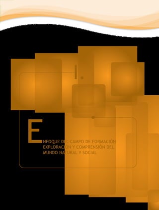 I.


E
NFOQUE DEL CAMPO DE FORMACIÓN
EXPLORACIÓN Y COMPRENSIÓN DEL
MUNDO NATURAL Y SOCIAL
 