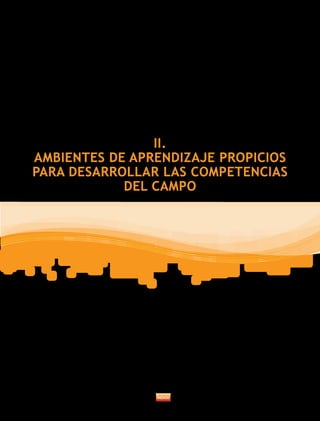 II.
AMBIENTES DE APRENDIZAJE PROPICIOS
PARA DESARROLLAR LAS COMPETENCIAS
DEL CAMPO
 