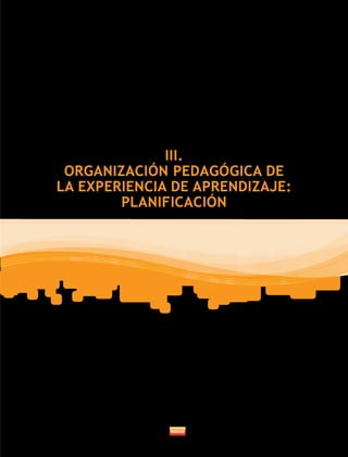 III.
ORGANIZACIÓN PEDAGÓGICA DE
LA EXPERIENCIA DE APRENDIZAJE:
PLANIFICACIÓN
 