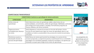 Proganual modulos (1)