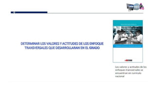 Proganual modulos (1)