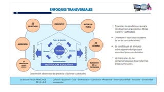 Proganual modulos (1)