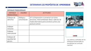 Proganual modulos (1)