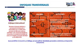 Proganual modulos (1)