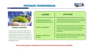 Proganual modulos (1)