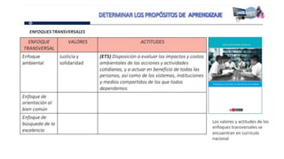 Proganual modulos (1)