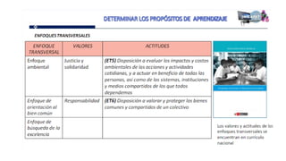 Proganual modulos (1)