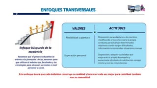 Proganual modulos (1)