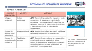 Proganual modulos (1)