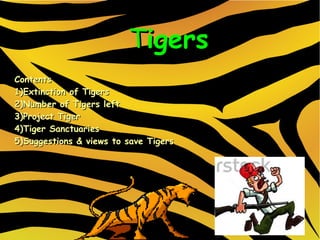 tigers


                         Tigers
Contents
1)Extinction of Tigers
2)Number of Tigers left
3)Project Tiger
4)Tiger Sanctuaries
5)Suggestions & views to save Tigers
 