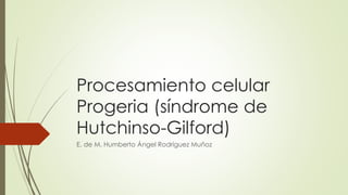 Procesamiento celular
Progeria (síndrome de
Hutchinso-Gilford)
E. de M. Humberto Ángel Rodríguez Muñoz
 