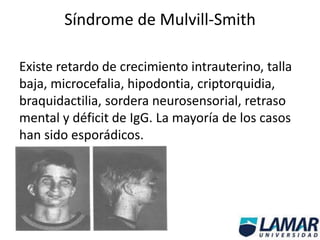 Síndrome de Mulvill-Smith
Existe retardo de crecimiento intrauterino, talla
baja, microcefalia, hipodontia, criptorquidia,
braquidactilia, sordera neurosensorial, retraso
mental y déficit de IgG. La mayoría de los casos
han sido esporádicos.
 