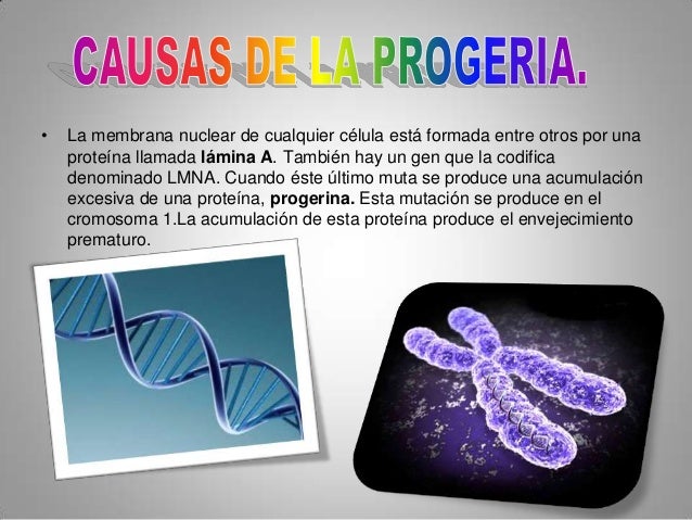 Los cabellos es cuánto por día deben caer
