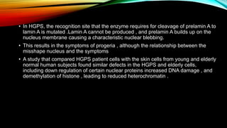 • In HGPS, the recognition site that the enzyme requires for cleavage of prelamin A to
lamin A is mutated .Lamin A cannot be produced , and prelamin A builds up on the
nucleus membrane causing a characteristic nuclear blebbing.
• This results in the symptoms of progeria , although the relationship between the
misshape nucleus and the symptoms
• A study that compared HGPS patient cells with the skin cells from young and elderly
normal human subjects found similar defects in the HGPS and elderly cells,
including down regulation of certain nuclear proteins increased DNA damage , and
demethylation of histone , leading to reduced heterochromatin .
 