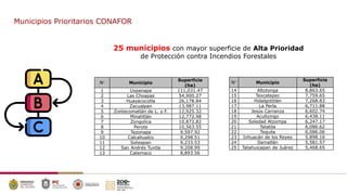 Municipios Prioritarios CONAFOR
25 municipios con mayor superficie de Alta Prioridad
de Protección contra Incendios Forest...