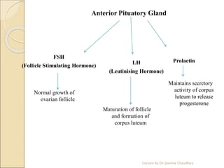 Anterior Pituatory Gland
FSH
(Follicle Stimulating Hormone)
Prolactin
LH
(Leutinising Hormone)
Normal growth of
ovarian follicle
Maturation of follicle
and formation of
corpus luteum
Maintains secretory
activity of corpus
luteum to release
progesterone
Lecture by Dr. Jasmine Chaudhary
 