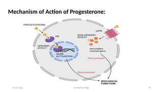 Dr.shankar Gejji 10
01-07-2025
Mechanism of Action of Progesterone:
 