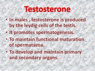 Testosterone Primary Progesterone and testosterone | PPTX