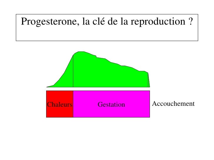 Progesterone Internet