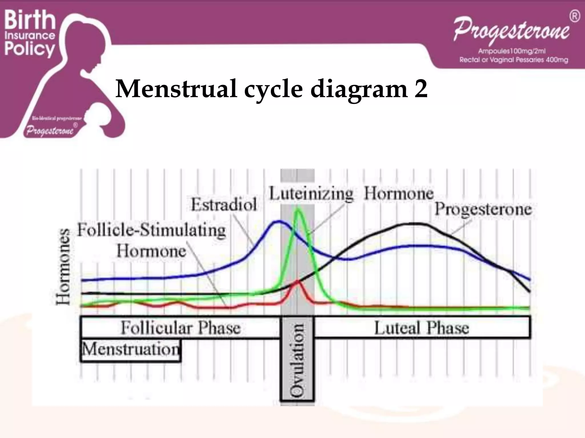 If implantation does not occur within approximately two weeks, the corpus luteum will involute, causing sharp drops in levels of both progesterone and estrogen. These hormone drops cause the uterus to shed its lining in a process termed menstruation.Menstrual cycleA woman's first menstruation is termed menarche, and occurs typically around age 12. The end of a woman's reproductive phase is called the menopause, which commonly occurs somewhere between the ages of 45 and 55.Menstrual cycle diagram 1