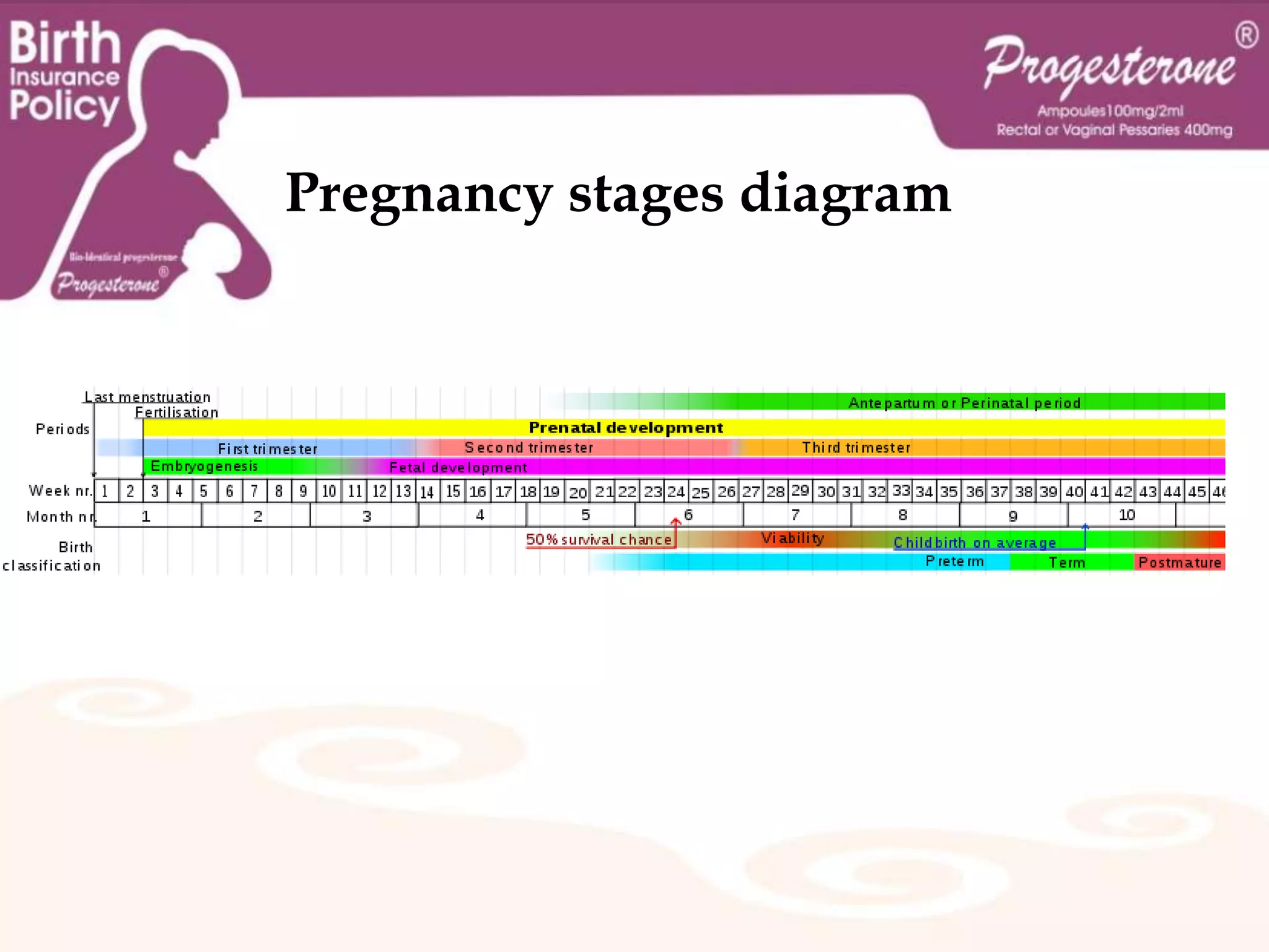 After the point of "fertilization", it is referred to as an egg. The fusion of male and female gametes usually occurs through the act of sexual intercourse.
