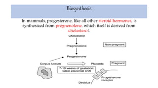 Biosynthesis
In mammals, progesterone, like all other steroid hormones, is
synthesized from pregnenolone, which itself is derived from
cholesterol.
 