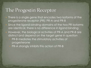There is a single gene that encodes two isoforms of the progesterone receptor (PR): PR-A and PR-B