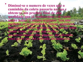 Diminui-se o numero de vezes que o caminhão da coleta passaria na rua e obtem-se um produto final de alta qualidade que já conhecemos e de custo muito baixo: o adubo orgânico. Seu uso melhora as propriedades físicas, químicas, biológicas e físico-químicas dos nossos solos assim como, garante um melhor desenvolvimento das plantas, devolvendo uma parte que foi retirada da natureza. 